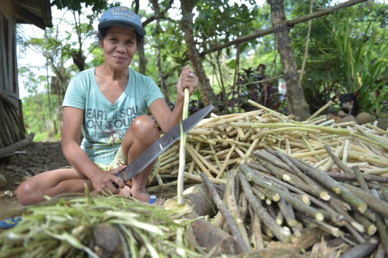 Aternative Charcoal Farming