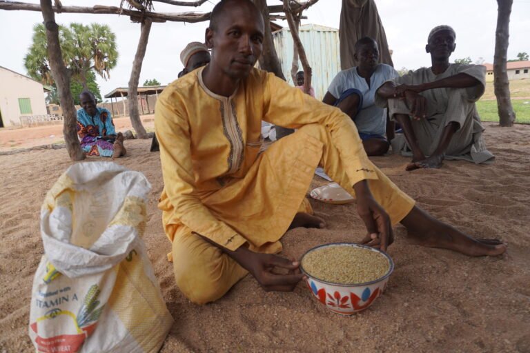 Community Based Seed Producer Ibrahim Lawan