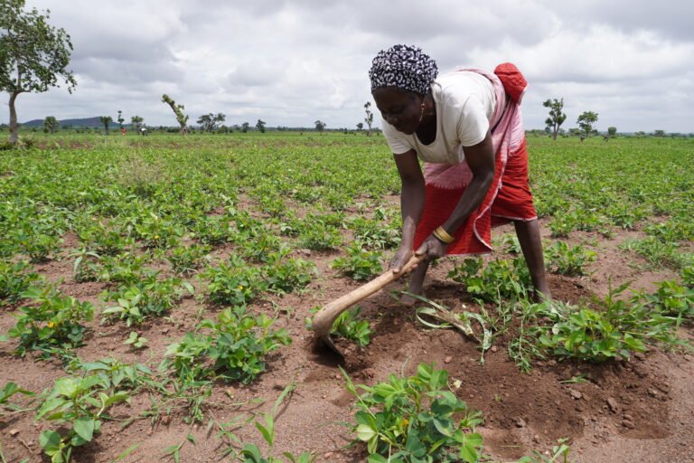 Grace Michel a Women Farmer in Bumsa Borno
