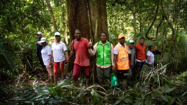 People protecting their forest
