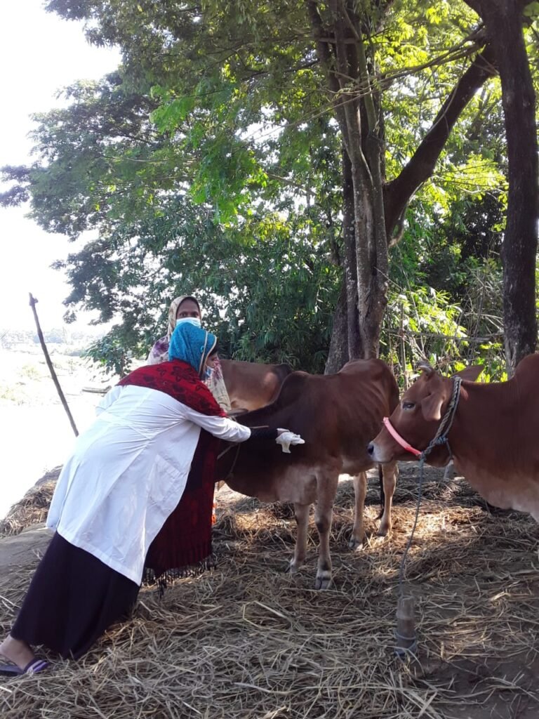 Animal Vaccination