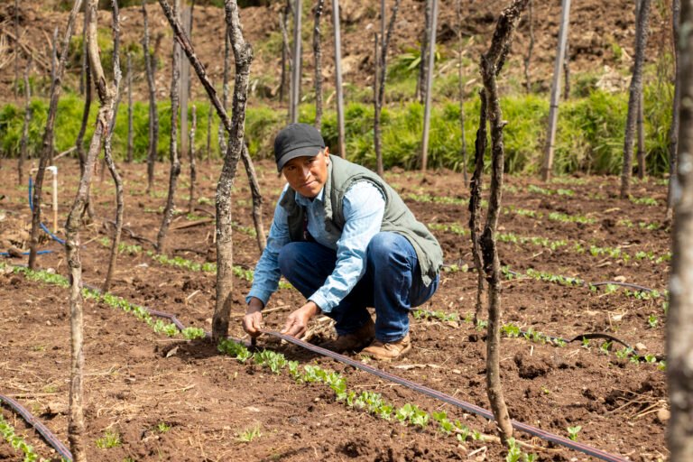 Conservation of water provides a better future