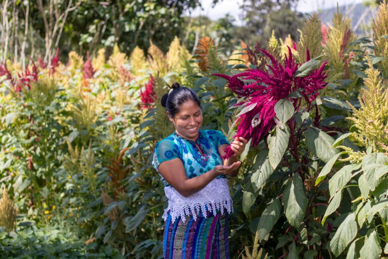 Ruth Tercero used to sow corn and beans for family consumption and no return of investment.