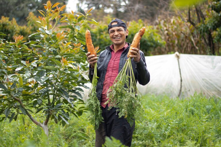 Modern agriculture is the answer