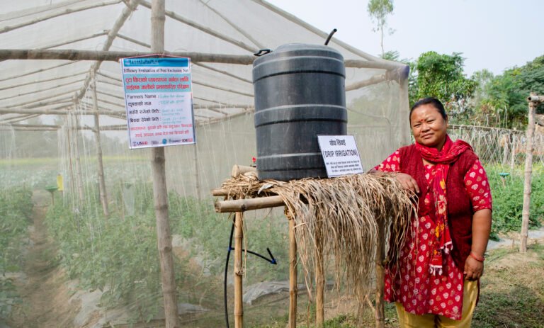 Maya demonstrates the use of a Net House to exclude the invasive Tuta tomato pest