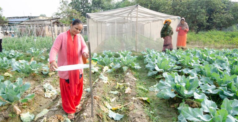 Pabitra a Plant Doctor helps here community cope with Climate Change