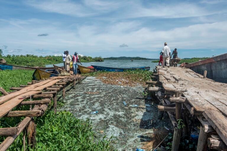 Lake Victoria, the world's largest tropical lake