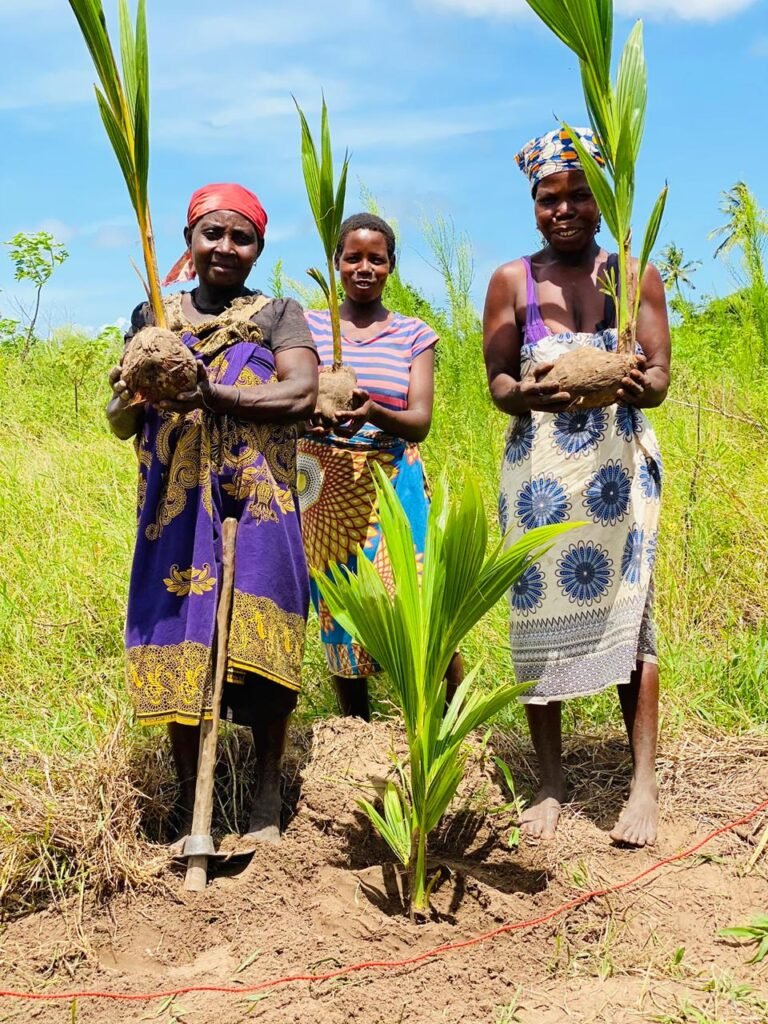 Coconut Trees for Climate Resilience