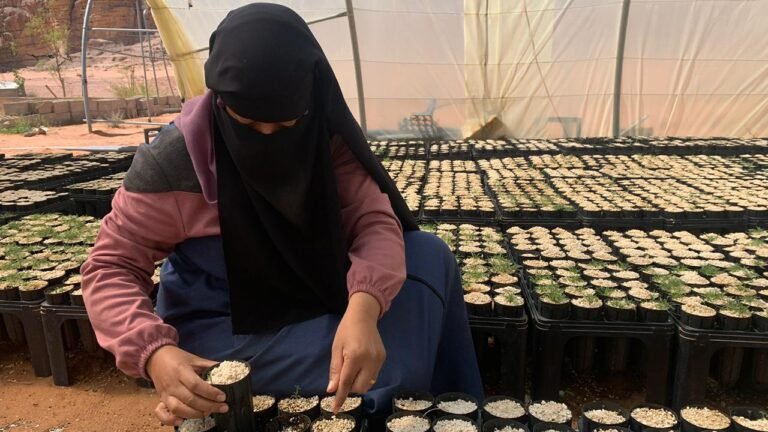 Community Member Working in a Seedling Nursery