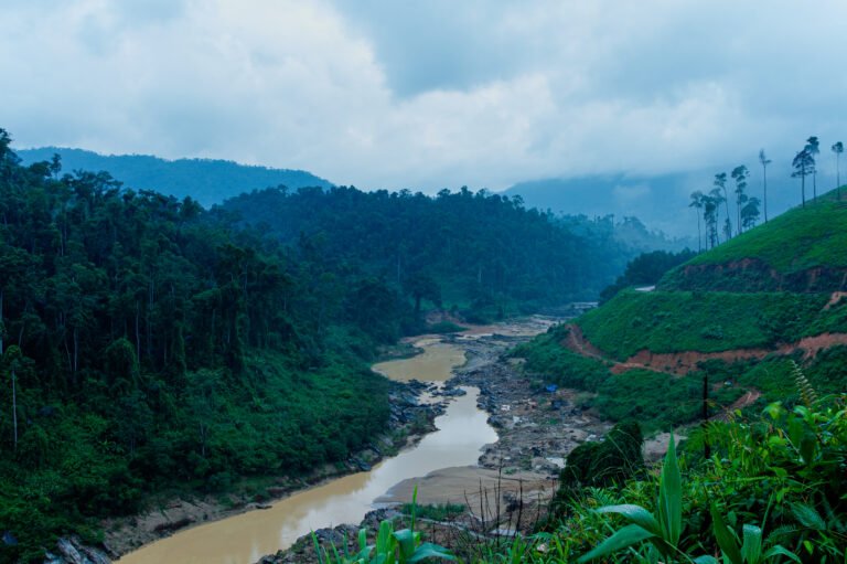 View of a foggy river valley, with untouched jungle on one side and a deforested mountain with a road on the other side.