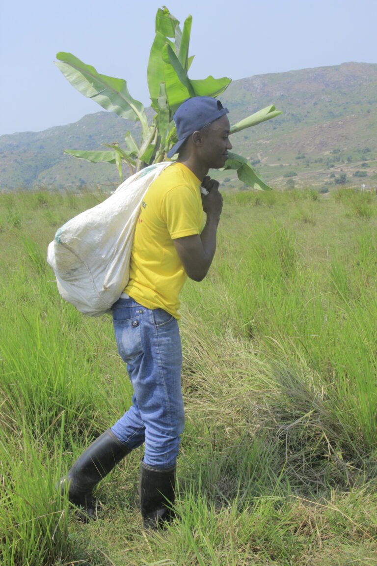 Fighting global warming in Ituri / DRC