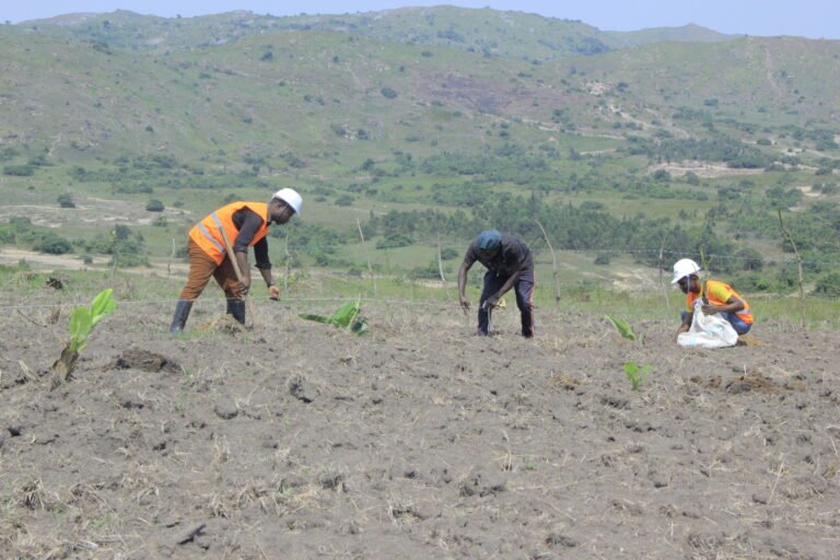 Fighting global warming in Ituri / DRC