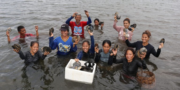 Shell Gatherers in Busuanga, Philippines