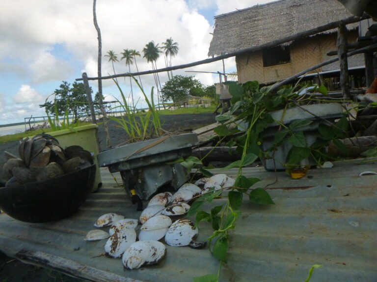 Alternatives for growing essential plants in a coastal village being slowly destroyed by climate impacts
