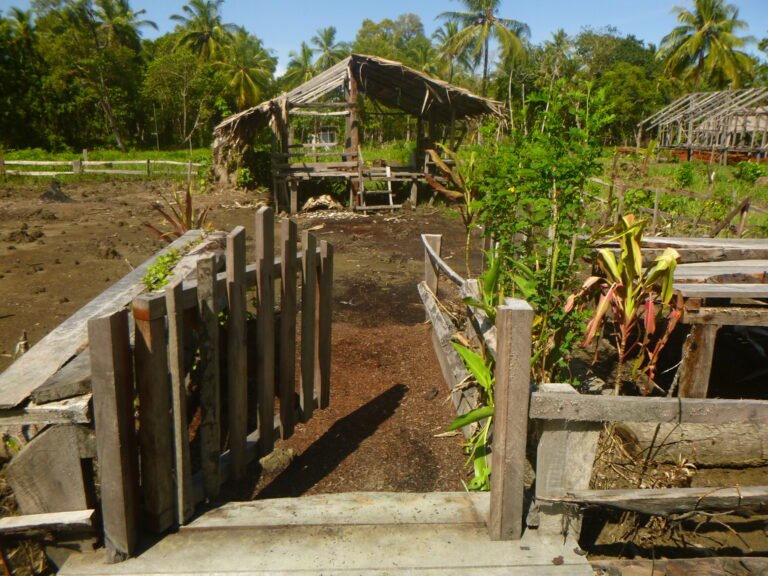 Relocating a home to the relocation site set by the village