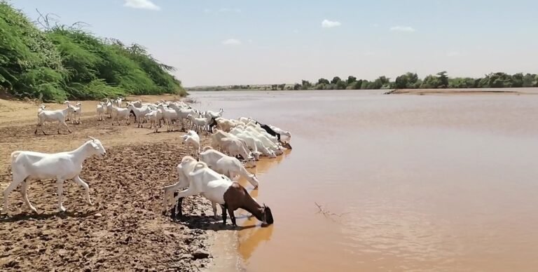 Water abundance before water scarcity