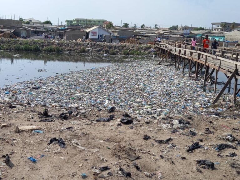 Water pollution