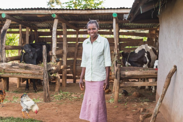 woman standing in front of cows