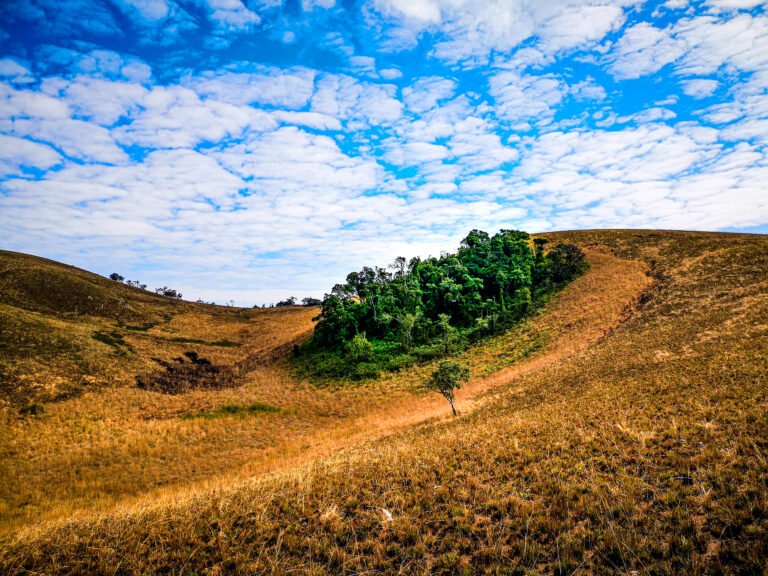Dwindling Hope on Malosa Mountain