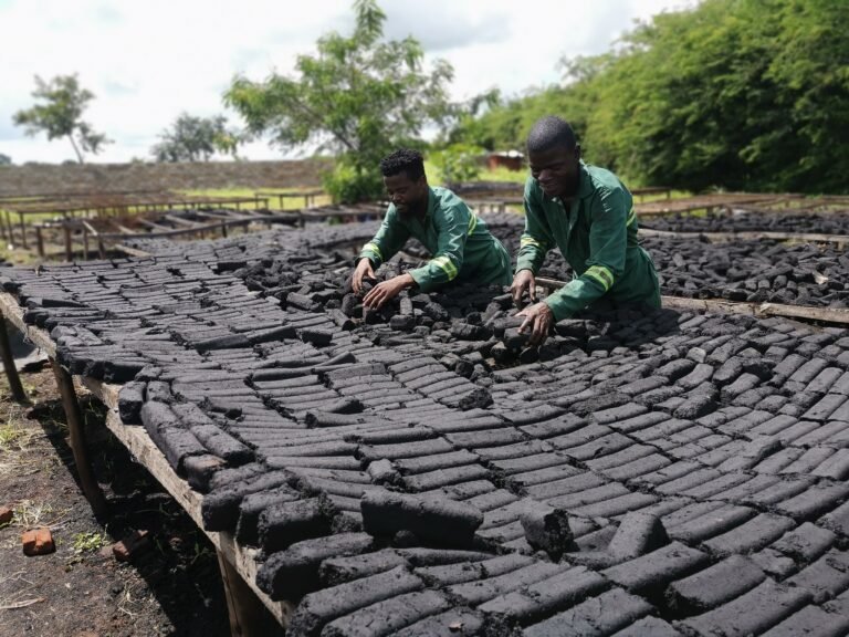 Malasha Briquettes provides sustainable fuel solutions in Malawi