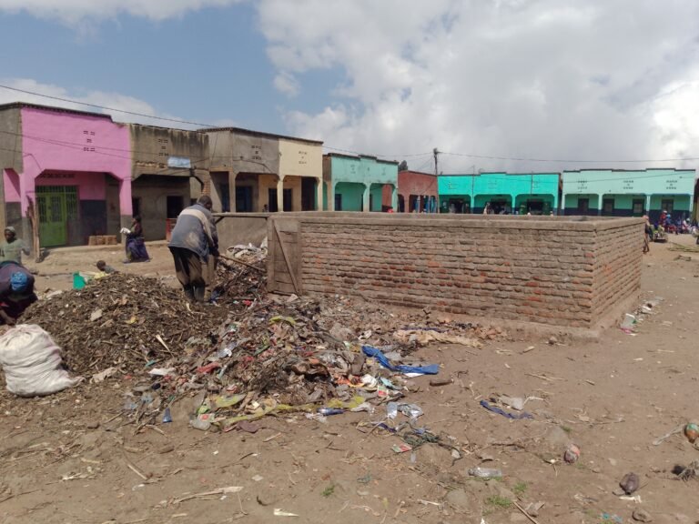 Lack of proper solid wastes management is the most challenging issues in Rwandan settlement