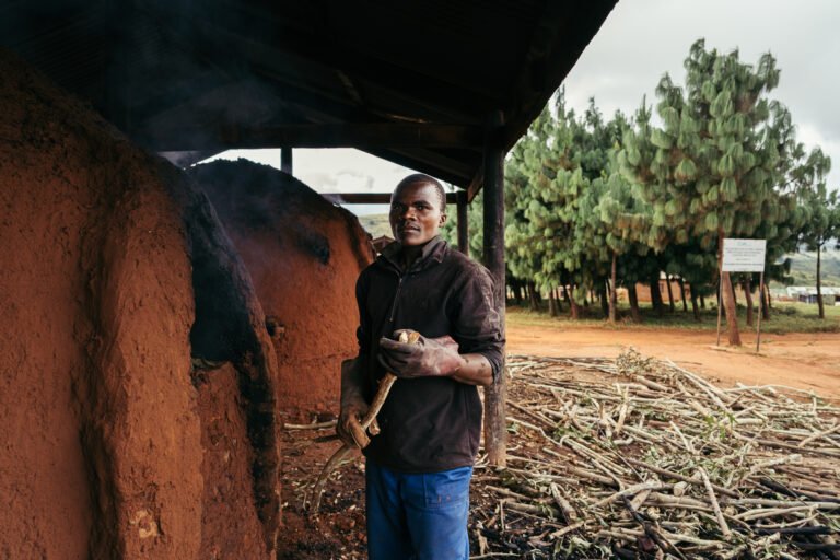 Burning for sustainable energy