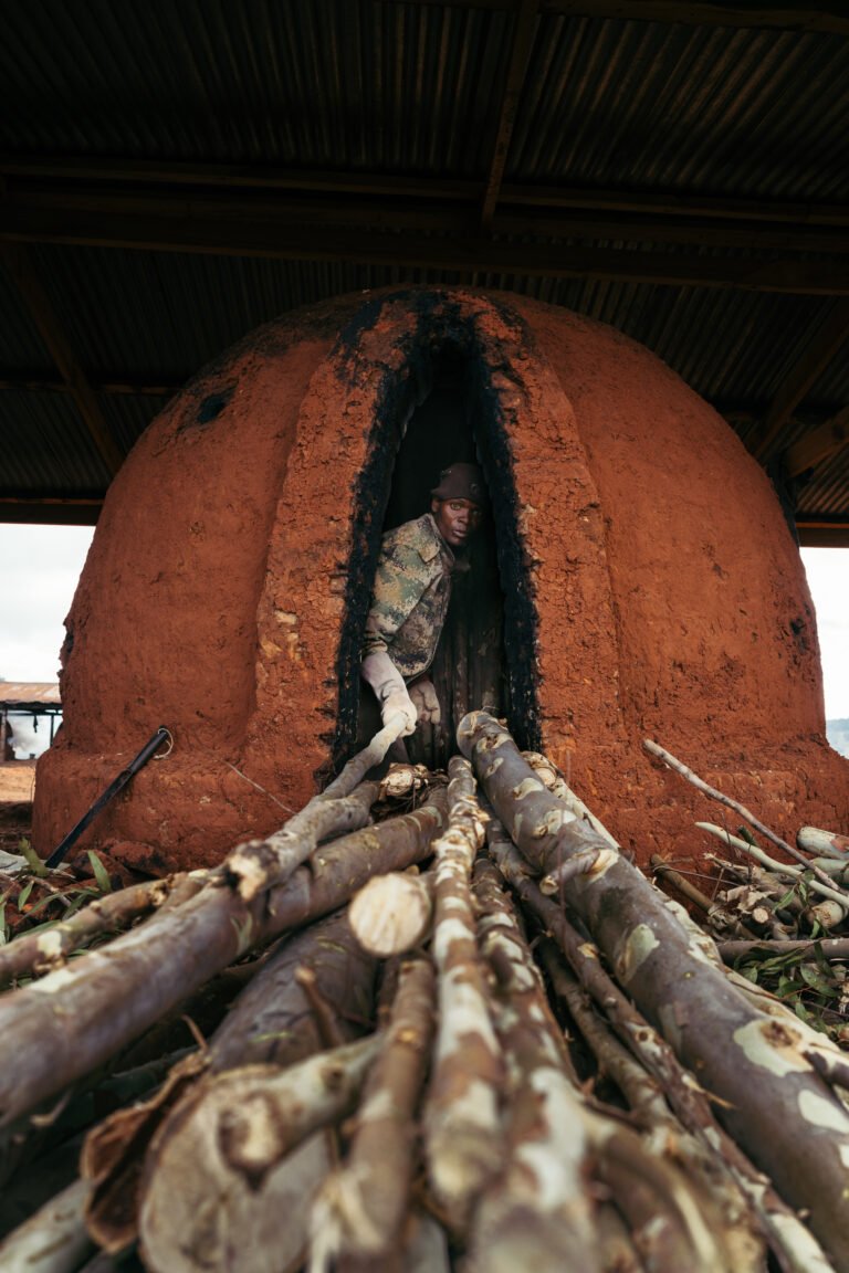 Sustainable Charcoal Reduces Deforestation in Malawi