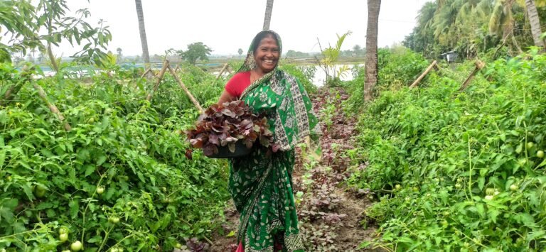 Life and Livelihood