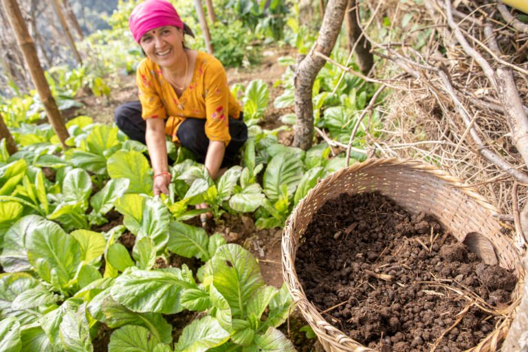 A portrait of a woman adding goat manure to her home garden in Nepal.