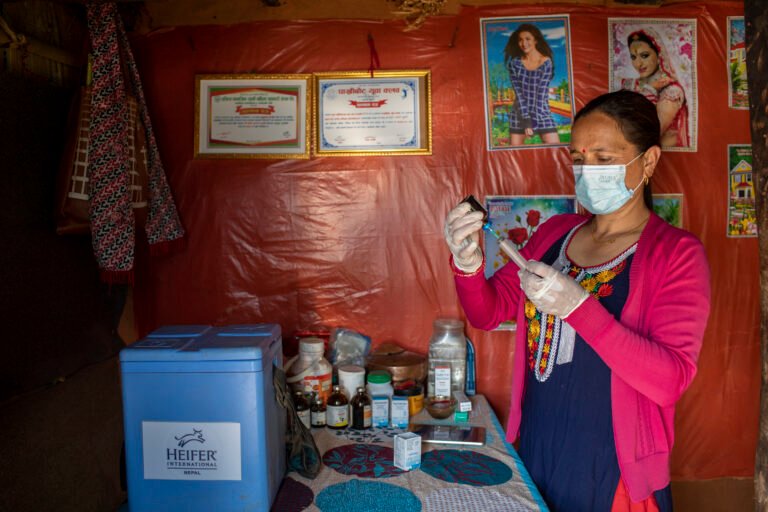 A woman veterinary worker in Nepal prepares supplies.