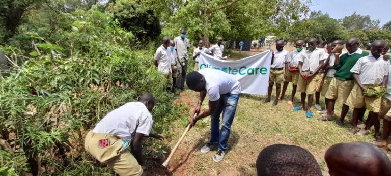 Tree planting in schools
