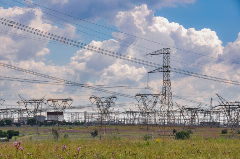 Transmission lines running adjacent to and through Rietvlei Nature Reserve in Tshwane, South Africa