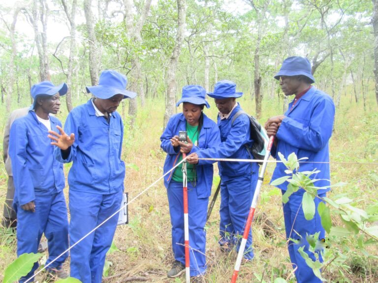 Inventorying Malawi's Forests