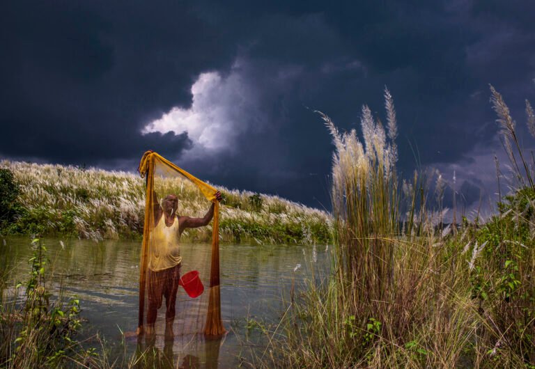 Amid the autumn-perspective, a fisherman of small-stature is trying for his sustainability & looks after the net to find out whether any fish has been arrested after that round of netting.