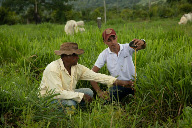 Rural extension officer provides guidance to smallholder livestock farmer