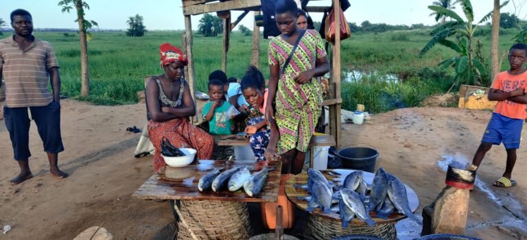 Fish merchants on Zio River in Lome, Togo