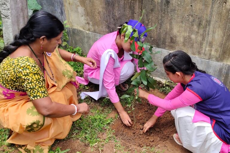 plantation in much needed for save the nature and ecosystem.
