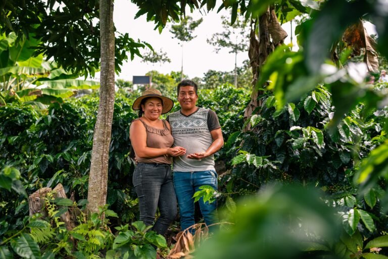 Peruvian couple show their coffee that grows among shade trees