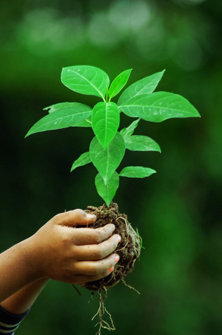 Our Future is in Our Hands