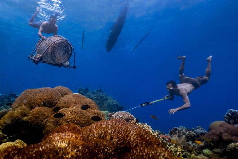 Local wisdom of the marine tribe in Alor, East Nusa Tenggara.  The sea is their daily breath. Because they live and are raised from the sea.  Sustainable fish stock, the fishery must be managed in way that ensure the long trem health of the fish stocks. This means that the fishery must not overfish the stocks, and must take steps to protect from other threats, such as habitat destruction.   Very wisely they catch fish and others with only simple equipment. They are equipped with a very strong breath. Until