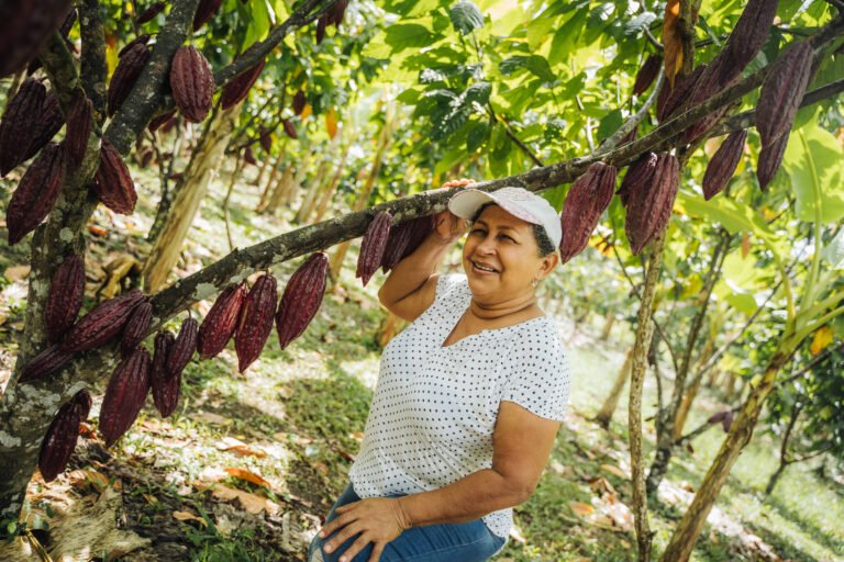 A women cocoa farmer in San Pedro de Urabá, Colombia, holds a cocoa tree full of poods.