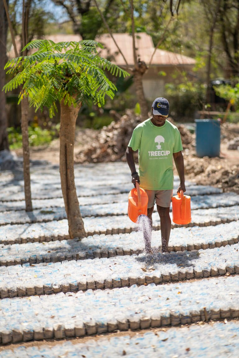 Watering tree seedlings HAS Haiti