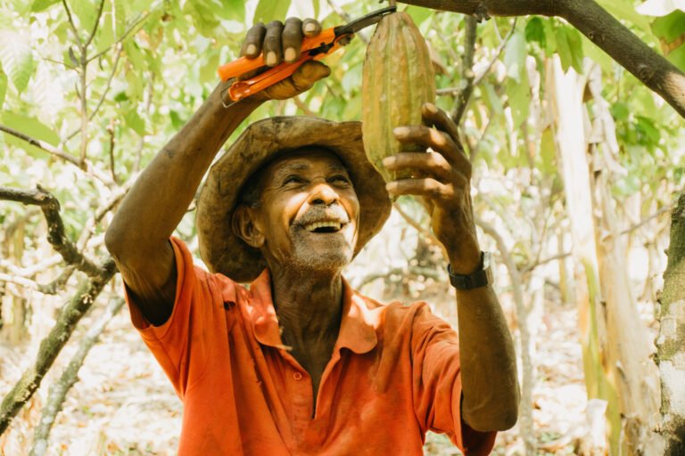 A cocoa farmer collecting cocoa pods in Colombia.