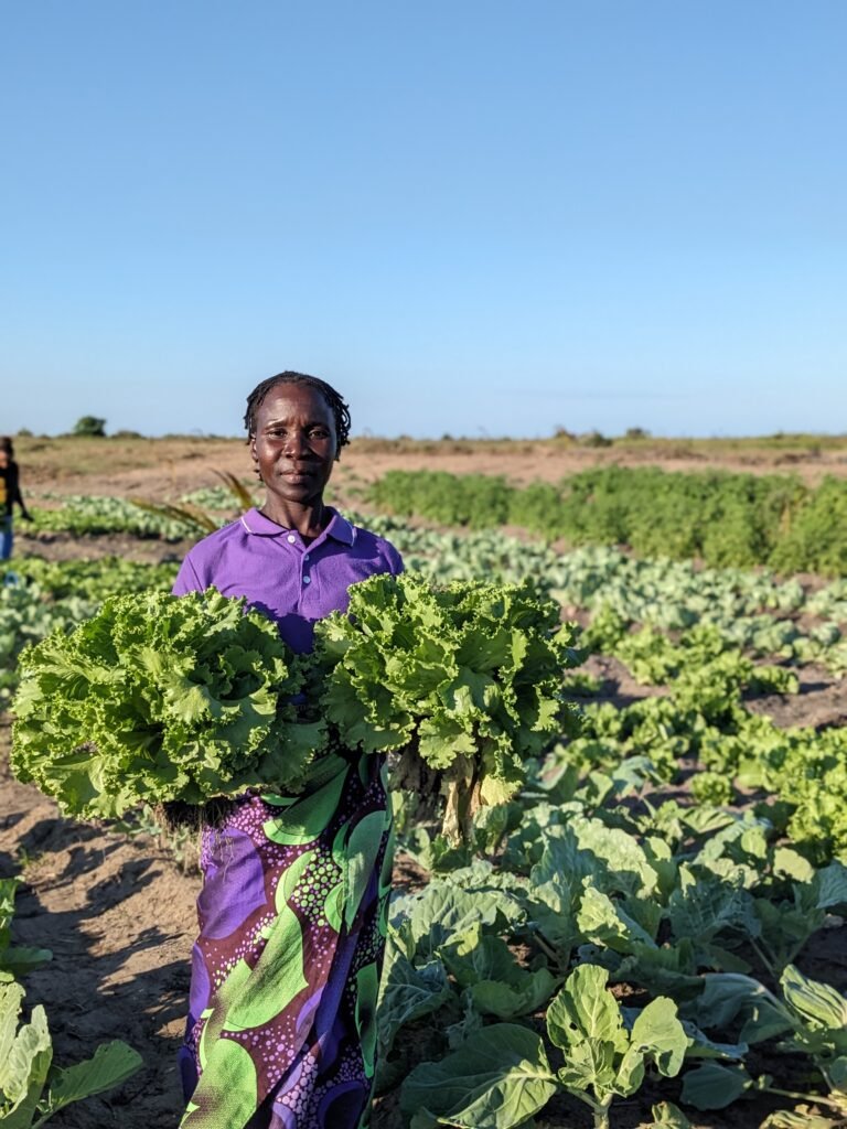 Woman looking at camera and holding a large bunch of lettuce in each hand