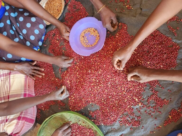 Close up shot of people sorting beans