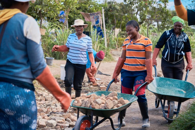 Group of women in Zimbabwe conducting gulley reclamation