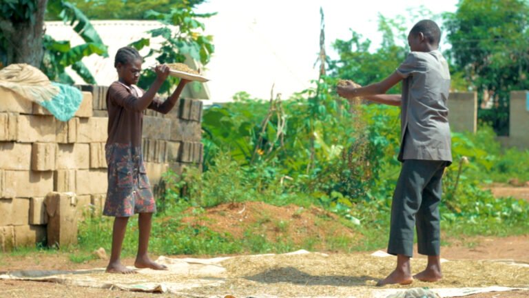 Equitable distribution of household chores for girls and boys