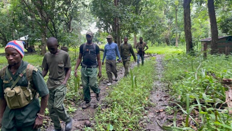 Eco-guards, Rangers and Bio-monitors patrolling the Gola rainforest in the Outamba Kilimi National Park in Sierra Leone.