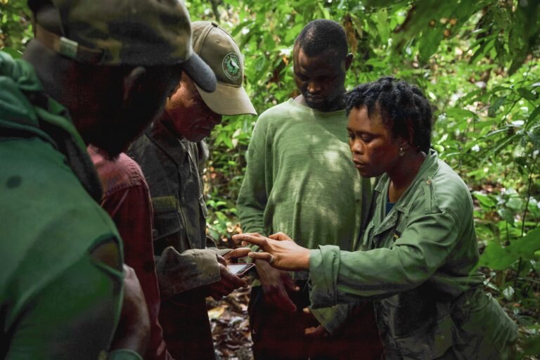 Training of Eco-guards patrolling the Gola rainforest to use Spatial Monitoring and Reporting Tool