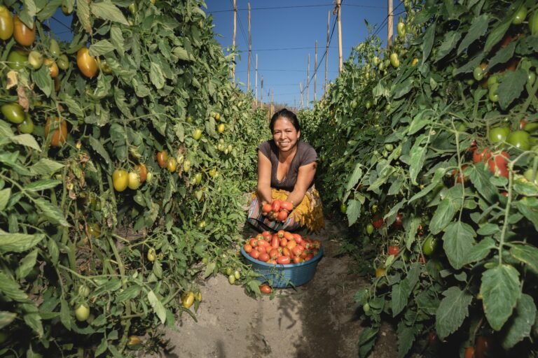 women crouching down and smiling, holding tomatoes in her hands